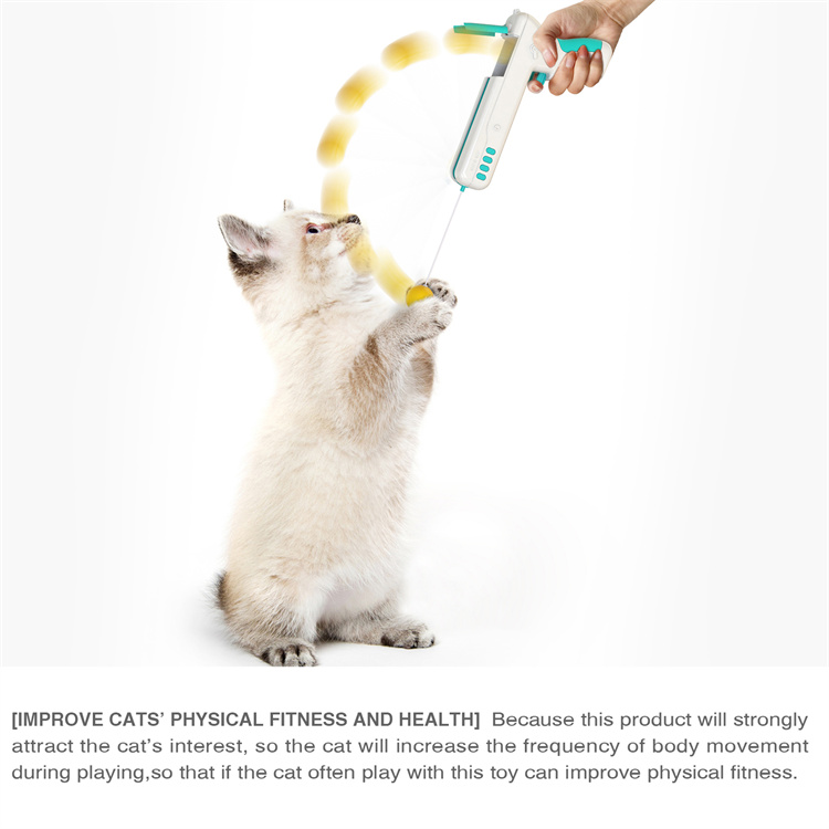 वियोज्य इंटरएक्टिव फीचर्ड गन मूविंग बिल्ली के बच्चे के खिलौने (2)