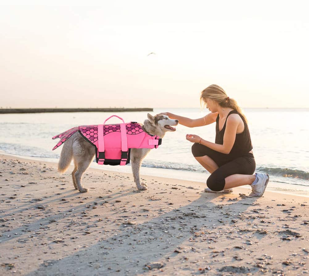 Mermaid Fashion Ripstop Pet Dog -pelastusliivi (4)